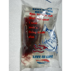 LARVES MOUSTIQUE / BLOODWORMS / RED MOSQUITO LARVAE