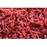 RED MOSQUITO LARVAE / BLOODWORMS 45ml