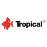 TROPICAL