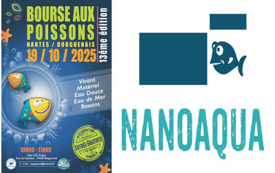 STAND BOURSE NANTES 19 OCTOBRE