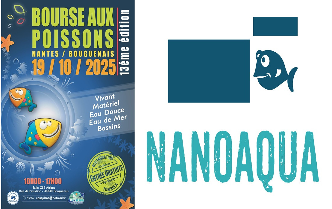 STAND BOURSE NANTES 19 OCTOBRE