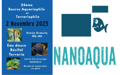 STAND BOURSE MONTAUBAN 2 NOV