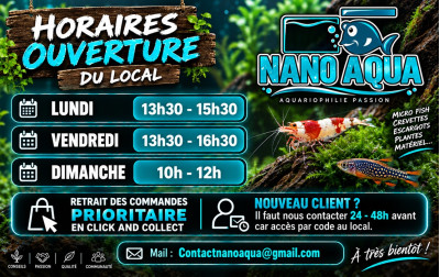 HORAIRES LOCAL OUVERTURE NANO AQUA