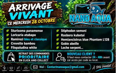 Arrivage Vivant 28 octobre